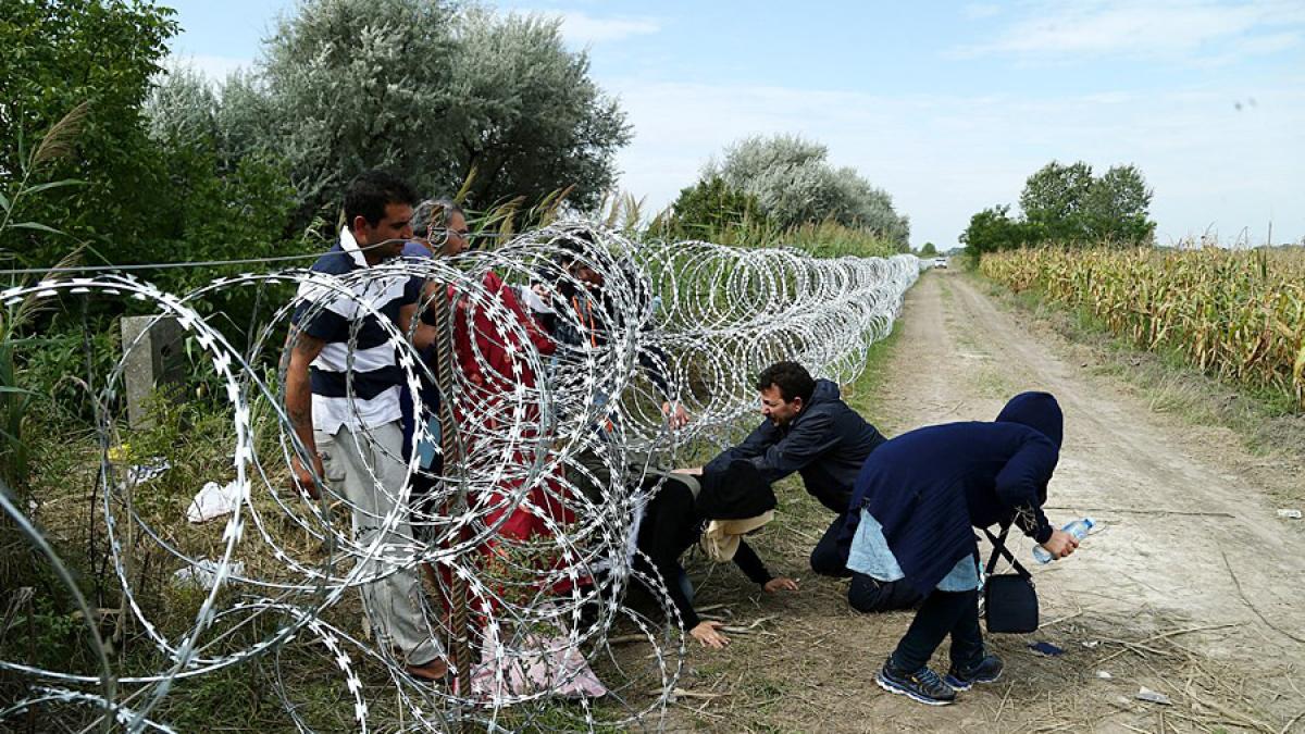 migrants_in_hungary_2015_aug_018_57448700