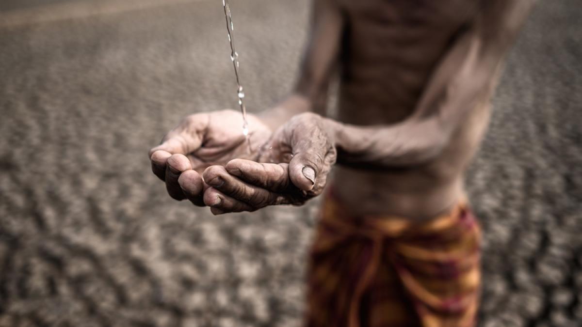 16273_resize_46941600