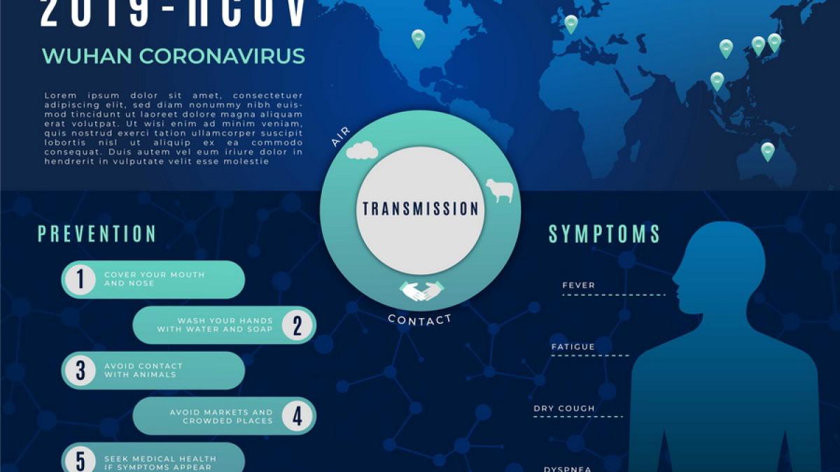 3415664_resize_02183300