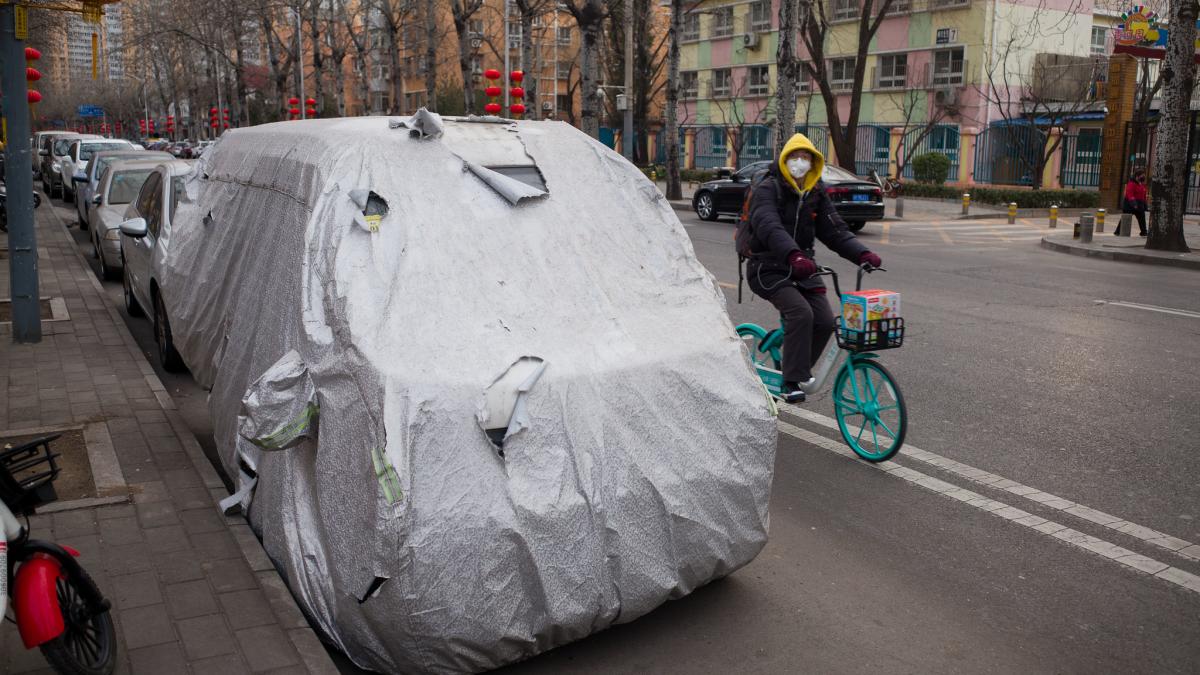 49471920851_420f608dd8_k_92291100