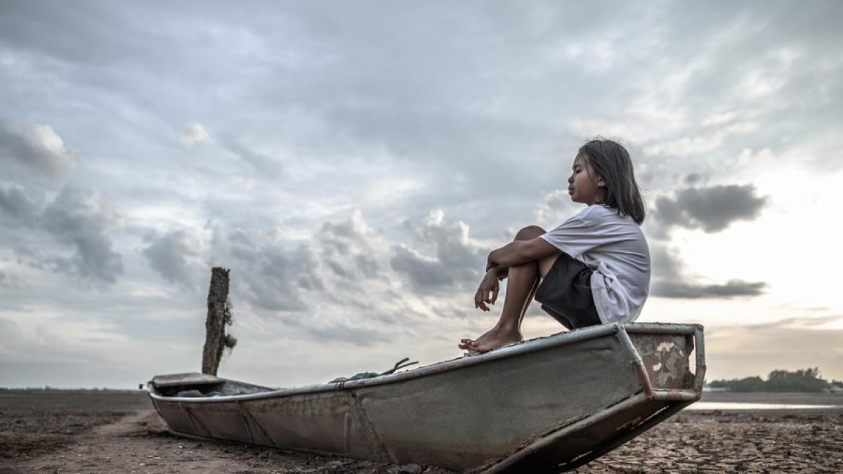 16336_resize_44723600