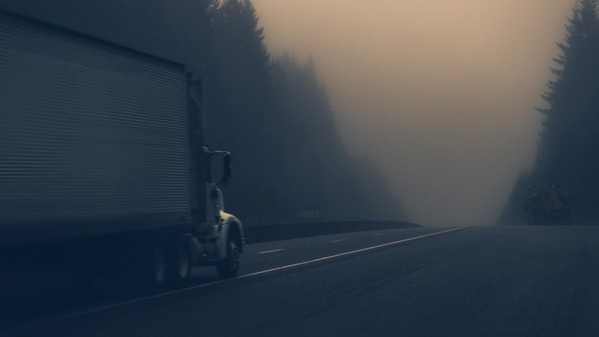 1931_resize_58878700