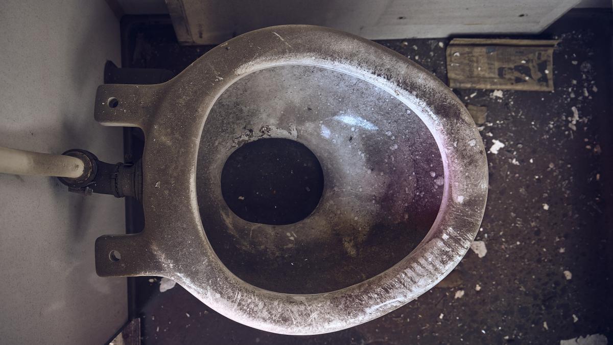 toilet_4442964_1920_15278000