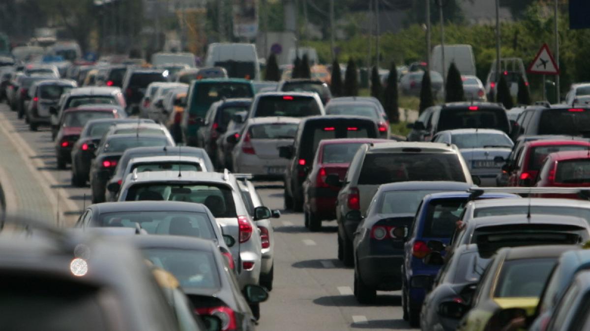 f9511c2e234229b1e2dd18385fe_91489800