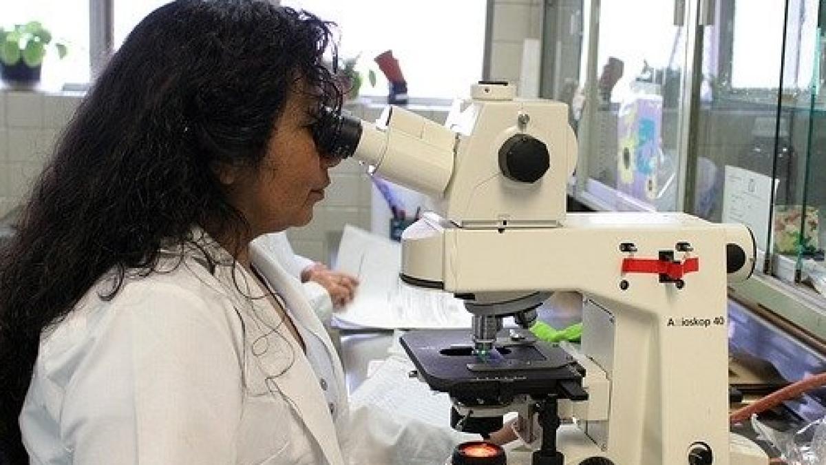 adn_laborator_44984900