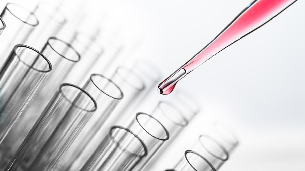 19420_resize_51834800