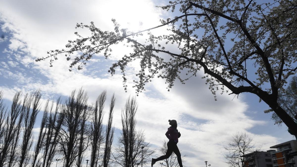 femeie_jogging_parc_36672300