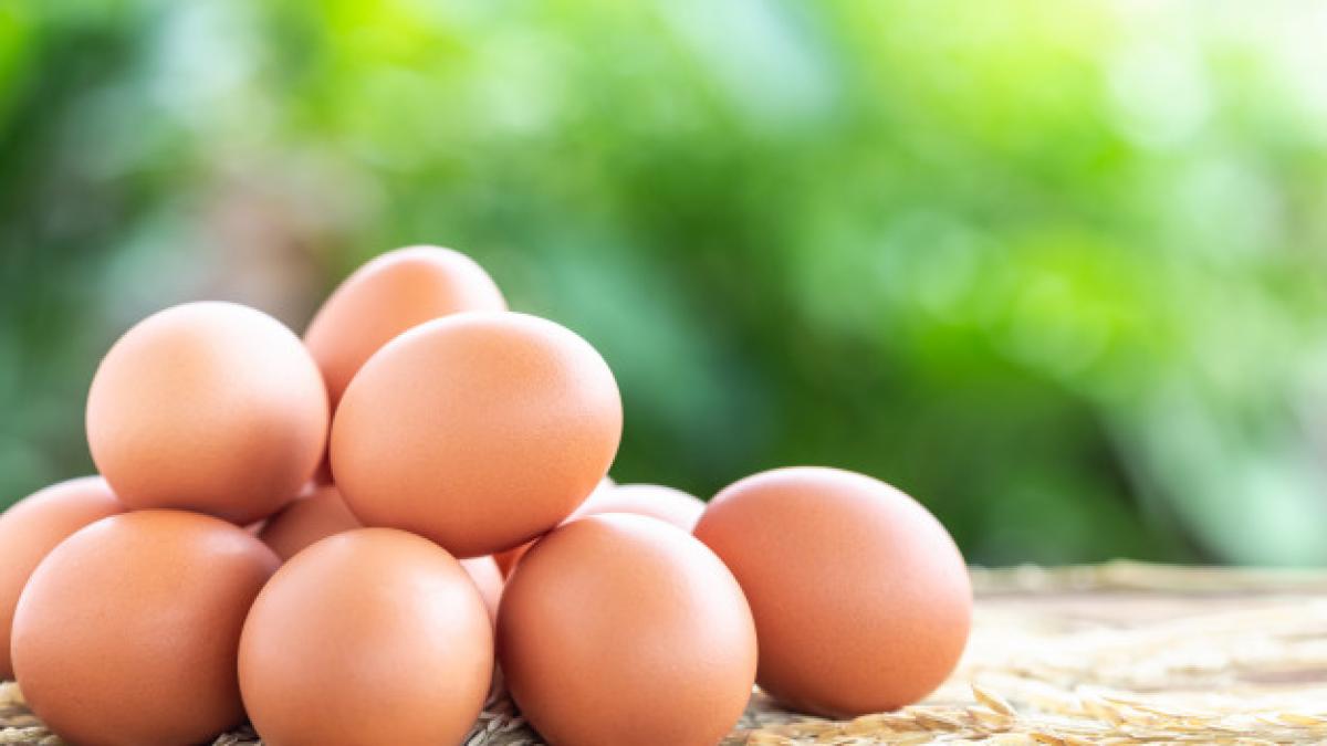 fresh_eggs_wooden_table_food_concept_30478_3997_87663000