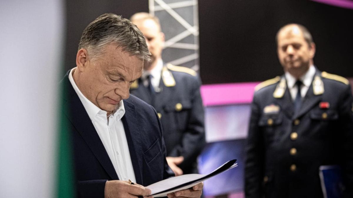 whatsapp_image_2020_04_04_at_15_45_19_60022300