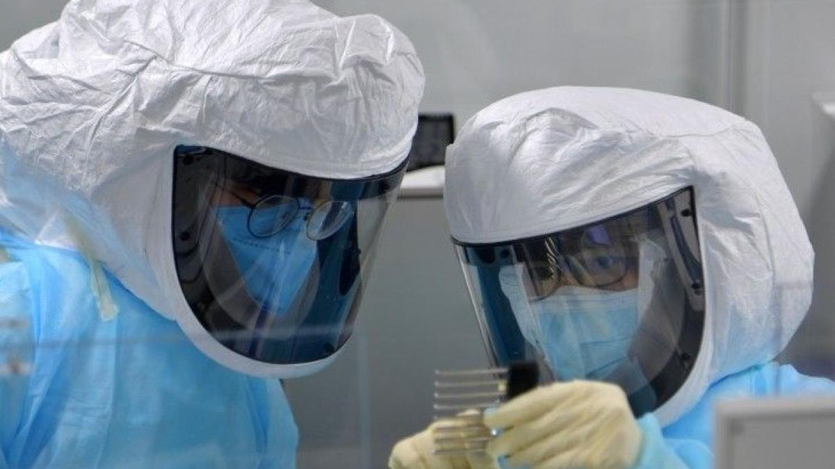 coronavirus2_86949100