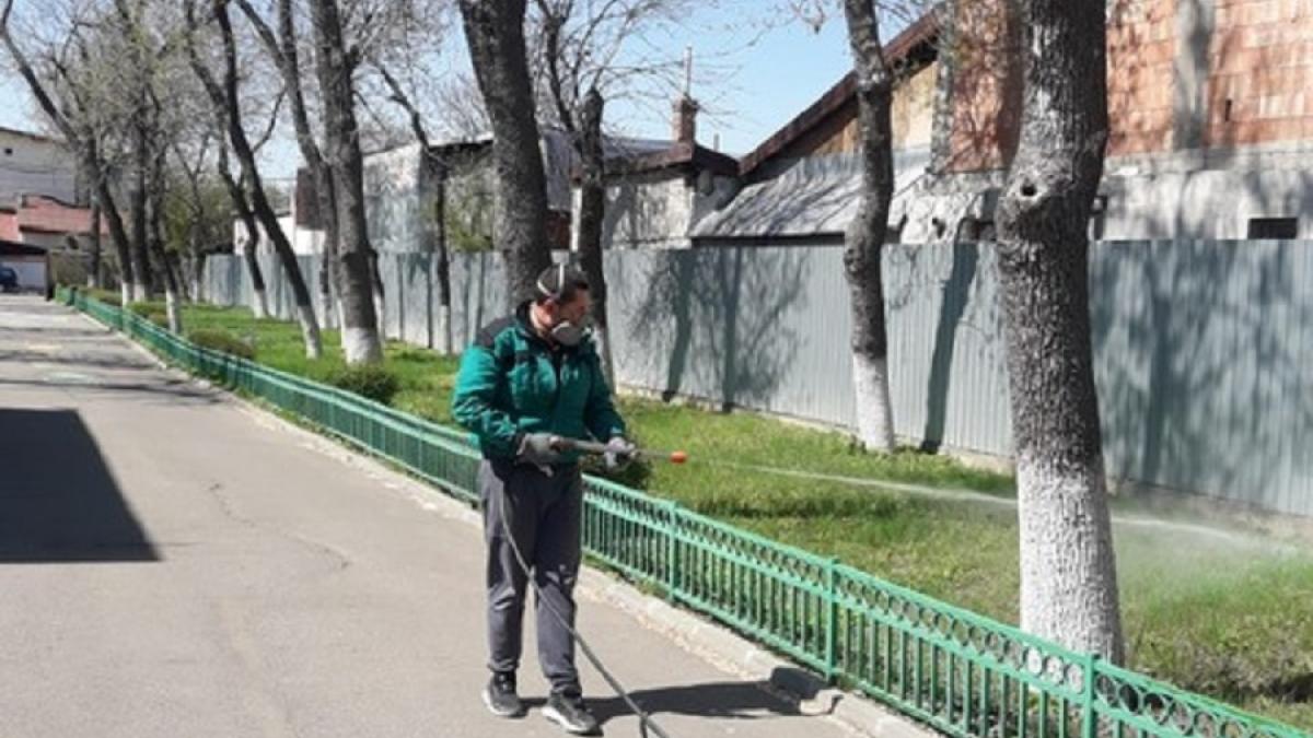 92818610_1665208383617199_8329683995046445056_n_24581600