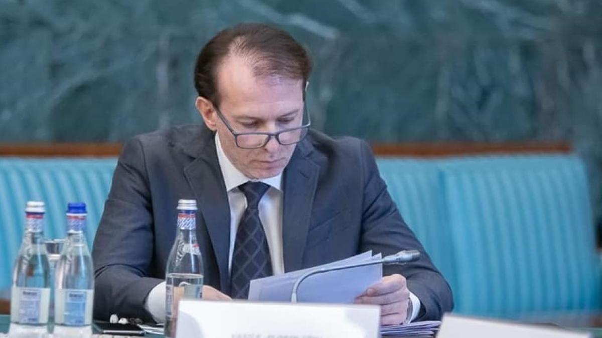 florin_citu3_83078200