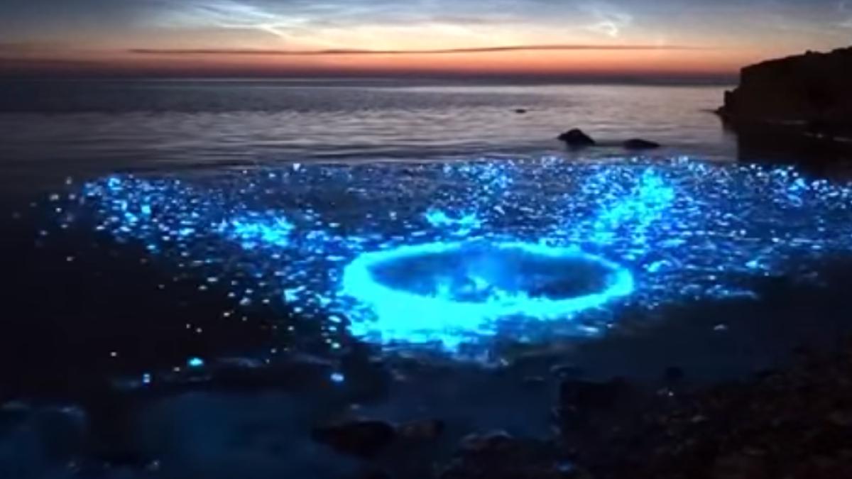 Fenomen natural spectaculos! Apa a luat foc (VIDEO)