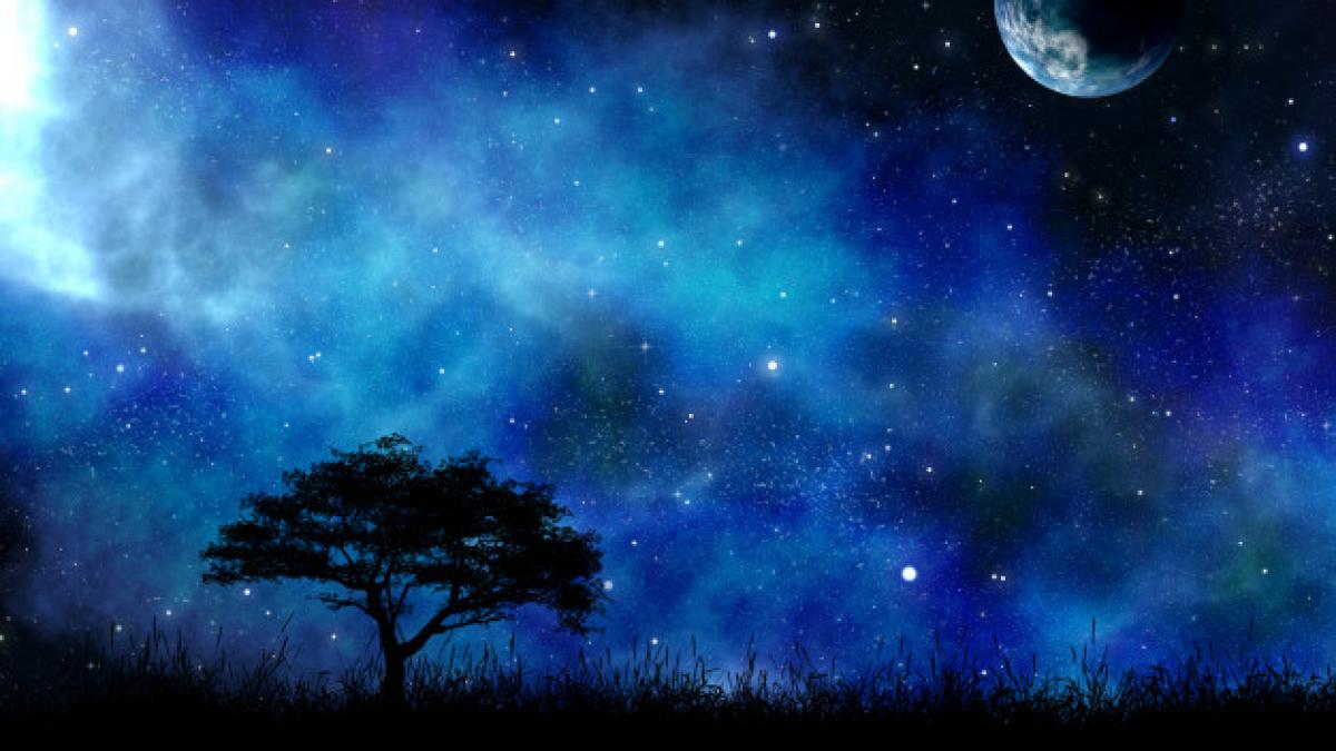 night_landscape_with_tree_against_space_sky_1048_11940_90319800