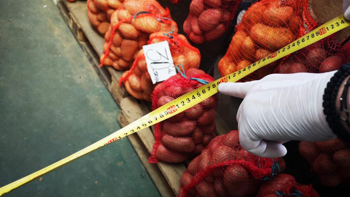 piata_craiova_58553200