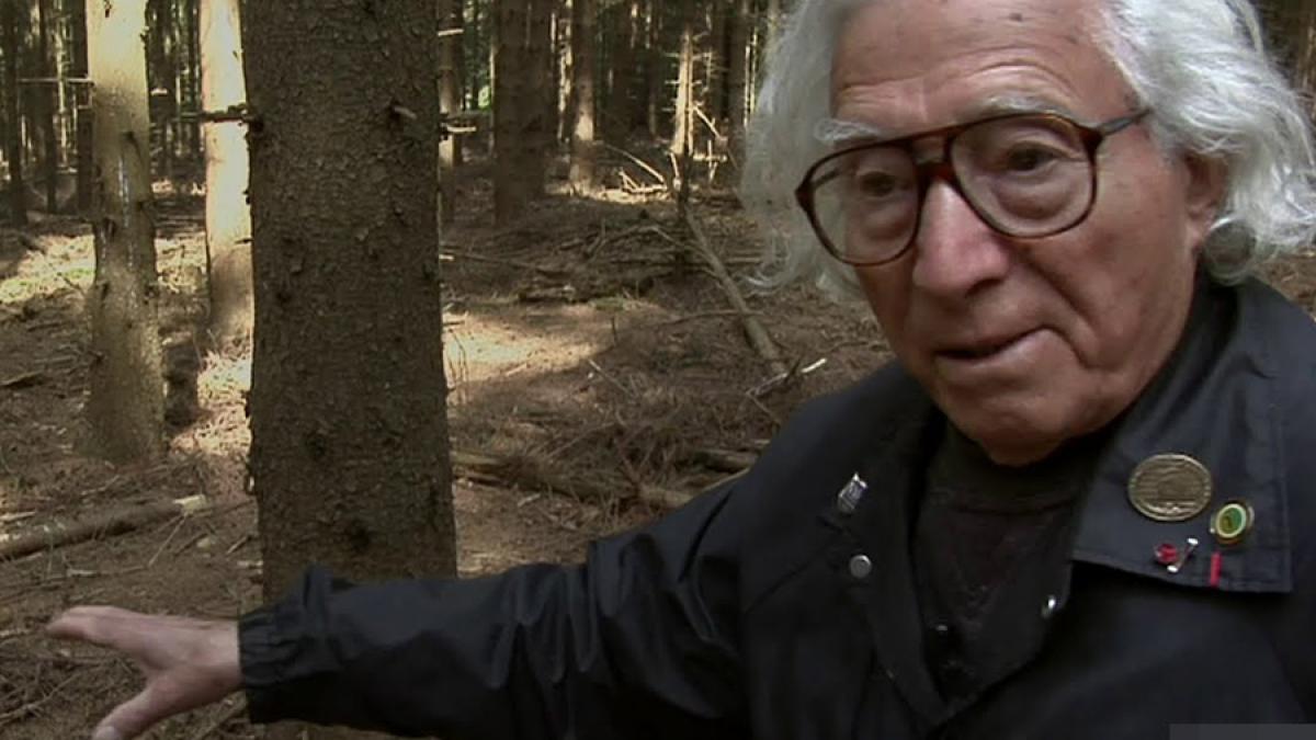 maxresdefault_15773500