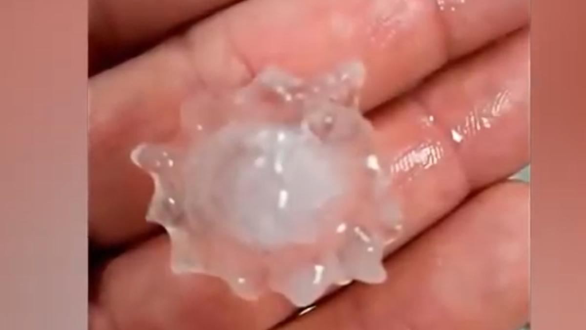 MESAJ de la Dumnezeu! Pietre de grindină în formă de CORONAVIRUS (VIDEO)