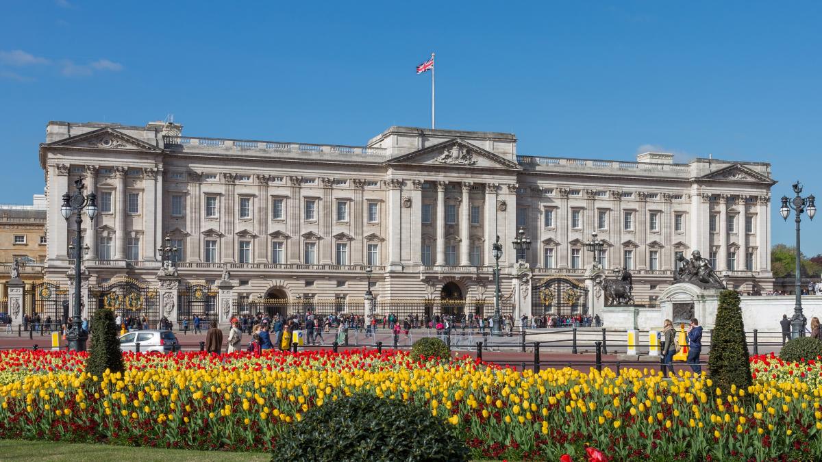buckingham_palace_from_gardens__london__uk___diliff_cropped_15226500