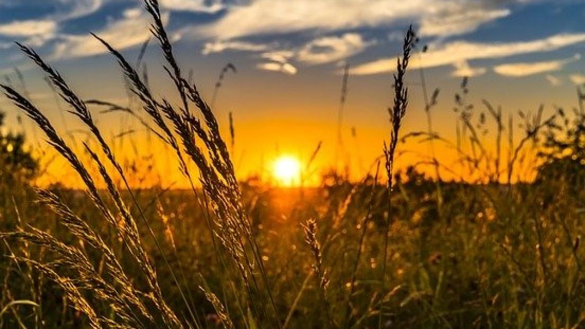 summer_2391348_640_17330100