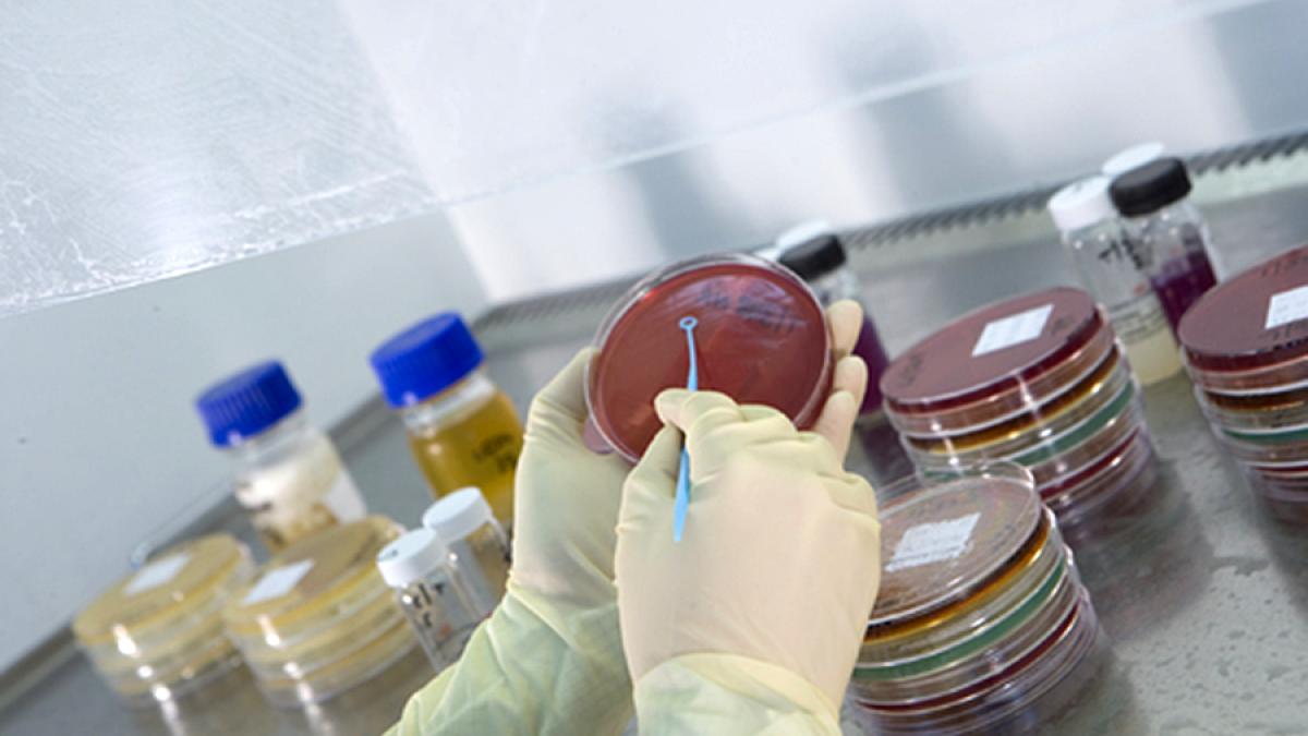 glaxosmithkline_97595700