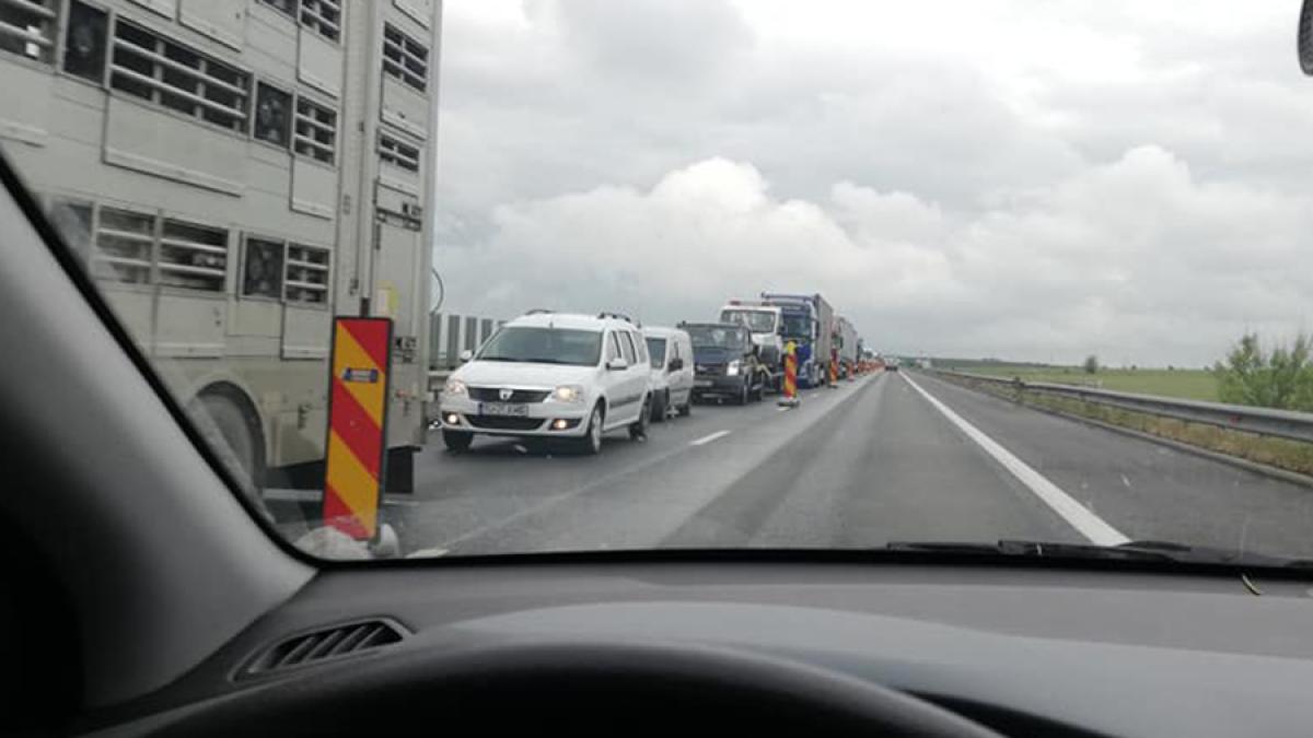 95997755_2774873852561644_8101266776567840768_n_75875200