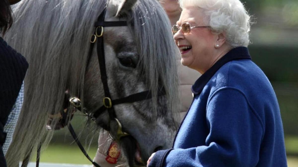 101684583_3221355094552965_7771096551576829952_n_07732800