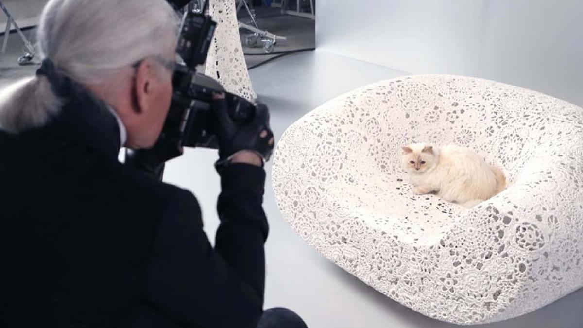 karl_lagerfeld_choupette_main_59381000