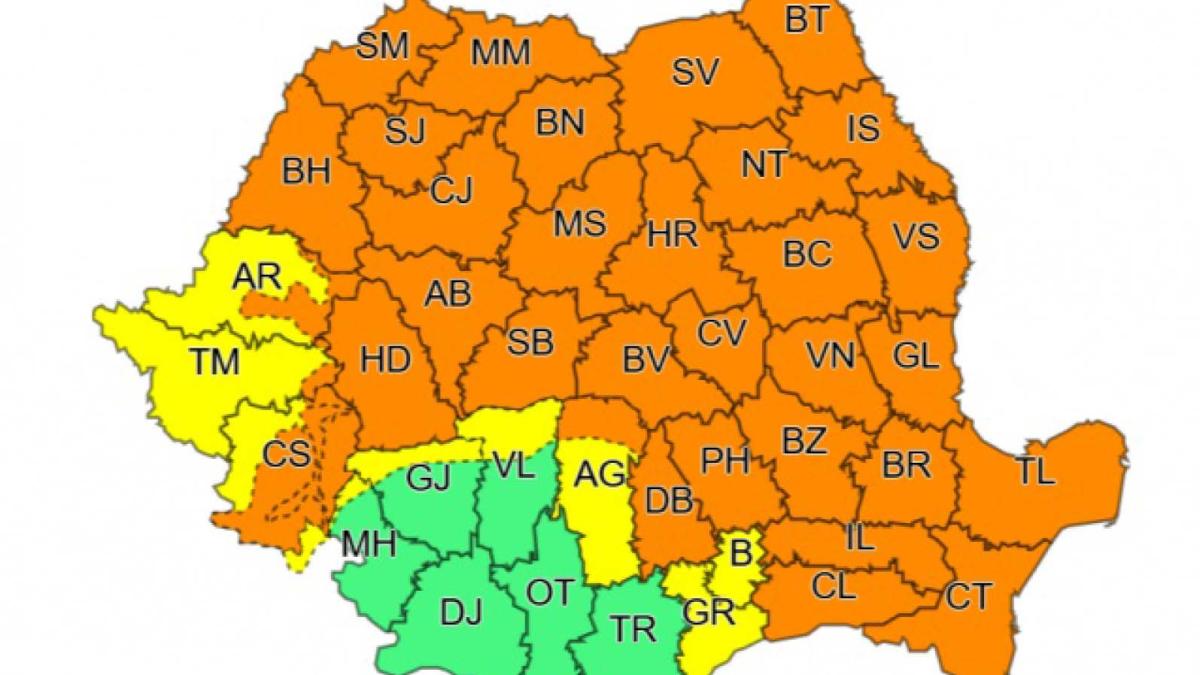 cod_portocaliu_58631700