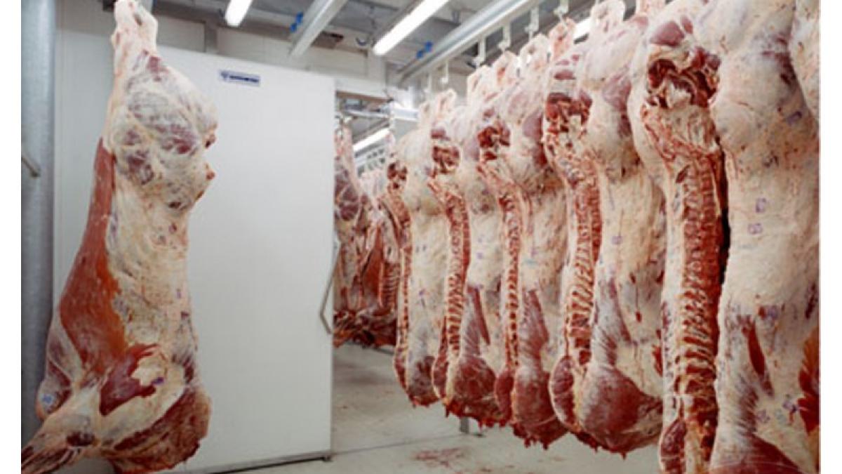 exces_de_carne_04589900