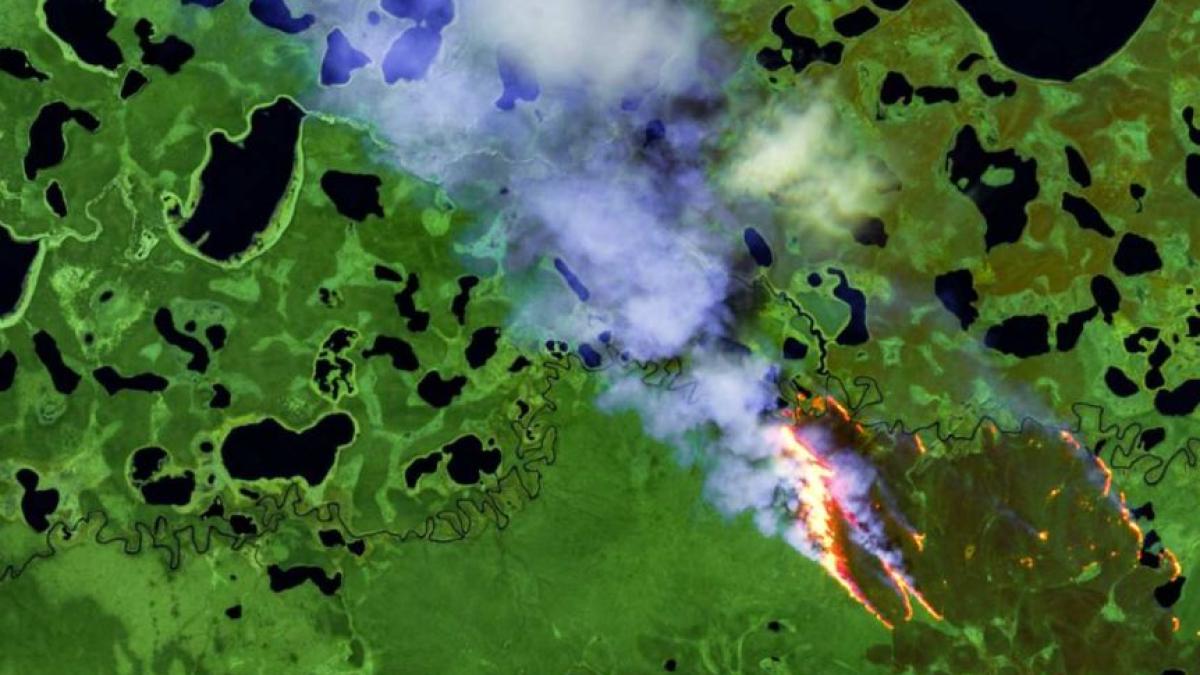 12370266_3x2_xlarge_07297000