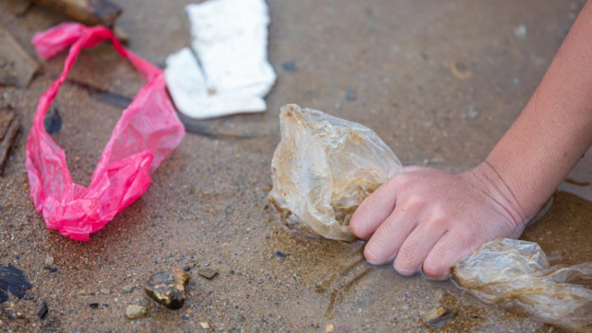 youth_collect_garbage_river_concept_national_youth_day_world_environment_day_1150_23306_45120600