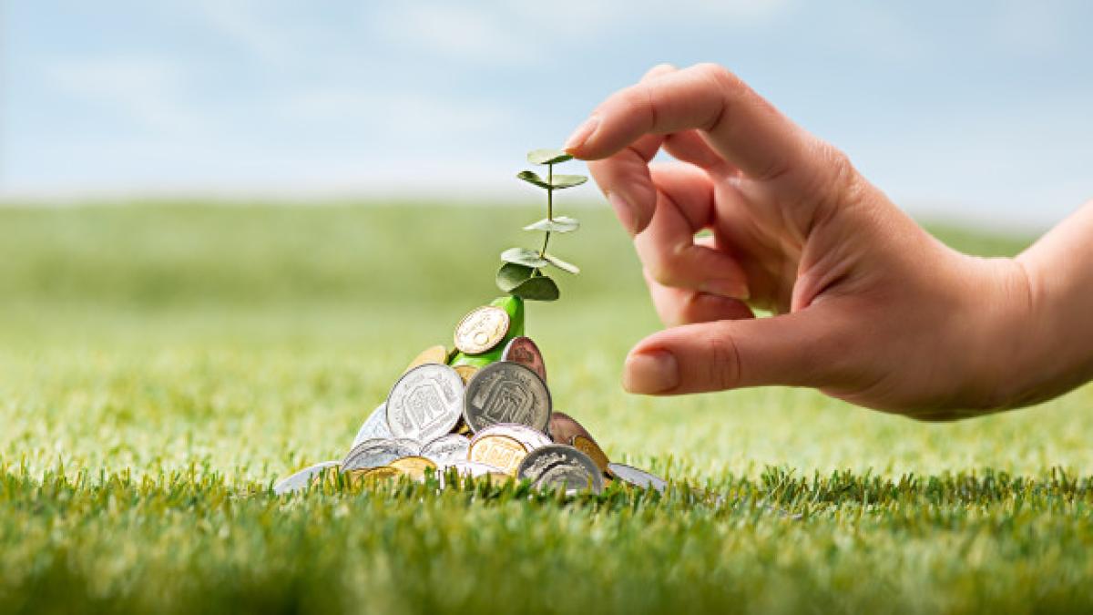 coins_grass_155003_10803_48296400