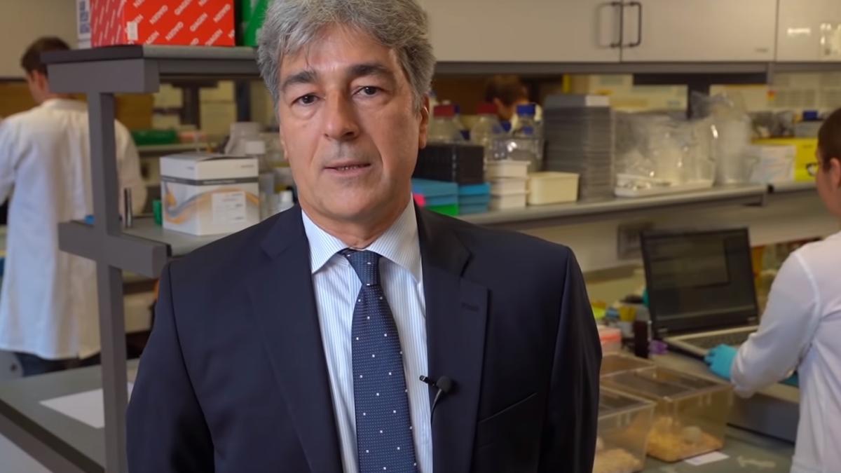 imre_kacskovics_76208700