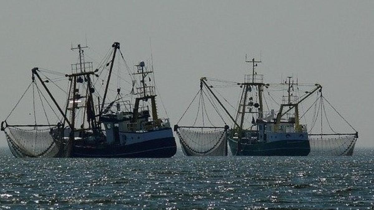 boats_1039093_640_76646000