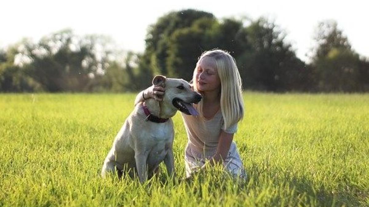 child_5334516_640_42106000