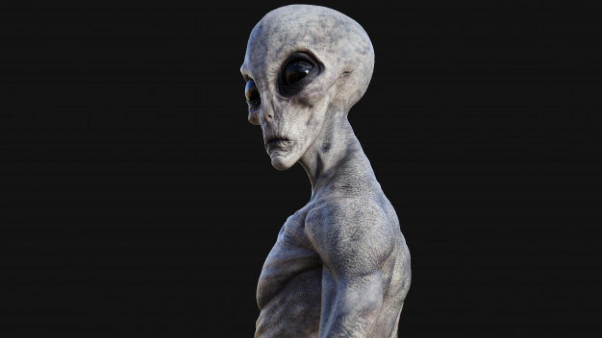 alien_black_background_with_clipping_path_46363_519_74990100