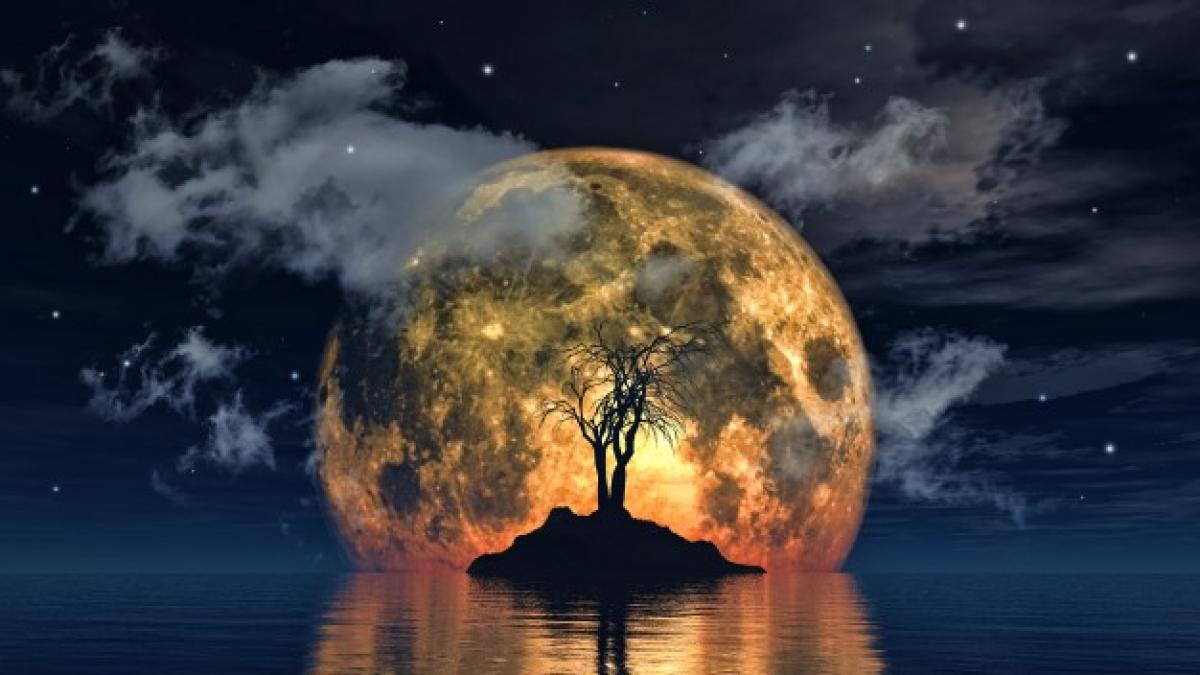 spooky_tree_against_big_moon_1048_2912_07101300