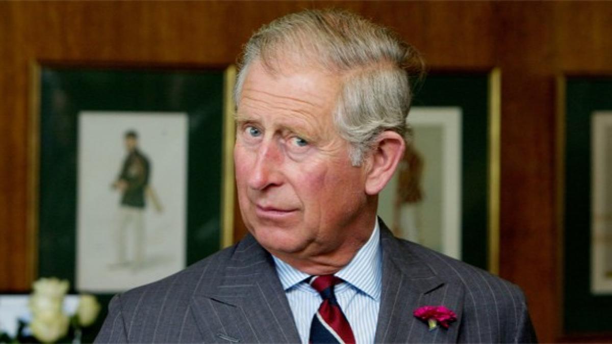 3050_260155377432414_1799568616_n_41557700