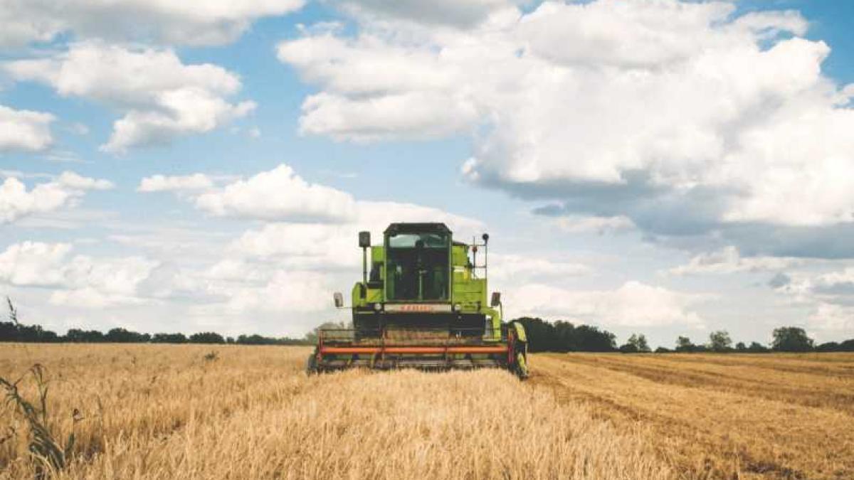 apia_fermieri_ajutor_motorina_12555900