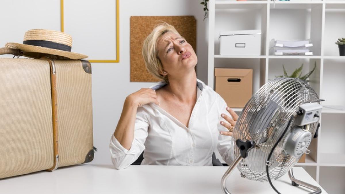 portrait_middle_aged_businesswoman_office_23_2148204441_85828300