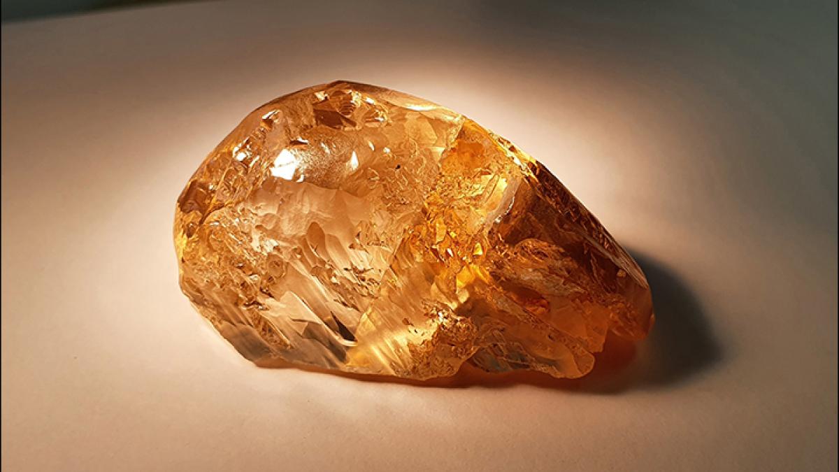 information_items_7878_11537800