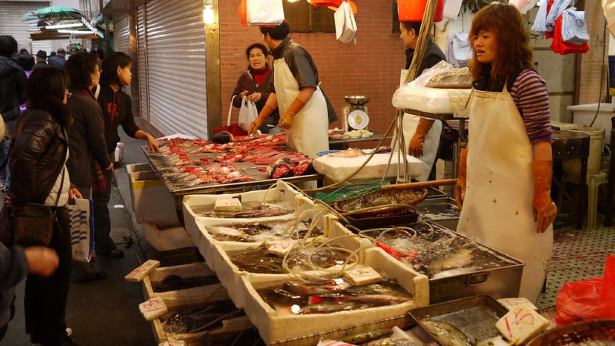 4259213628_14b5583bdf_c_86861300