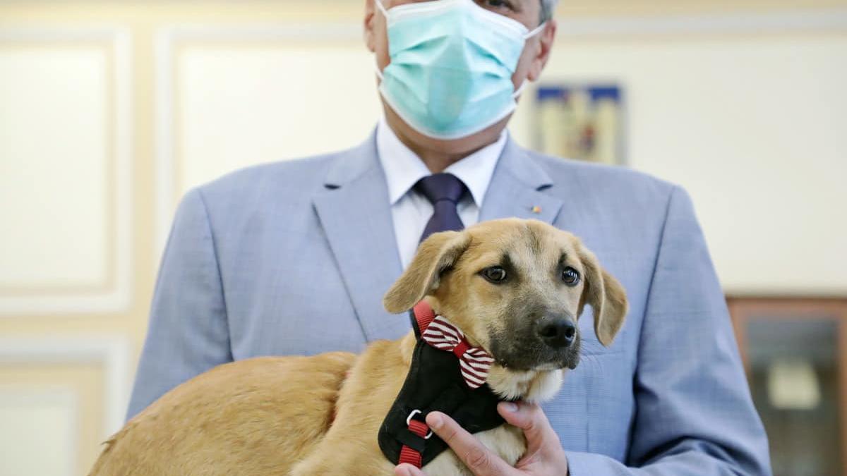 118442369_1736638129808286_739087903210082612_o_95607400