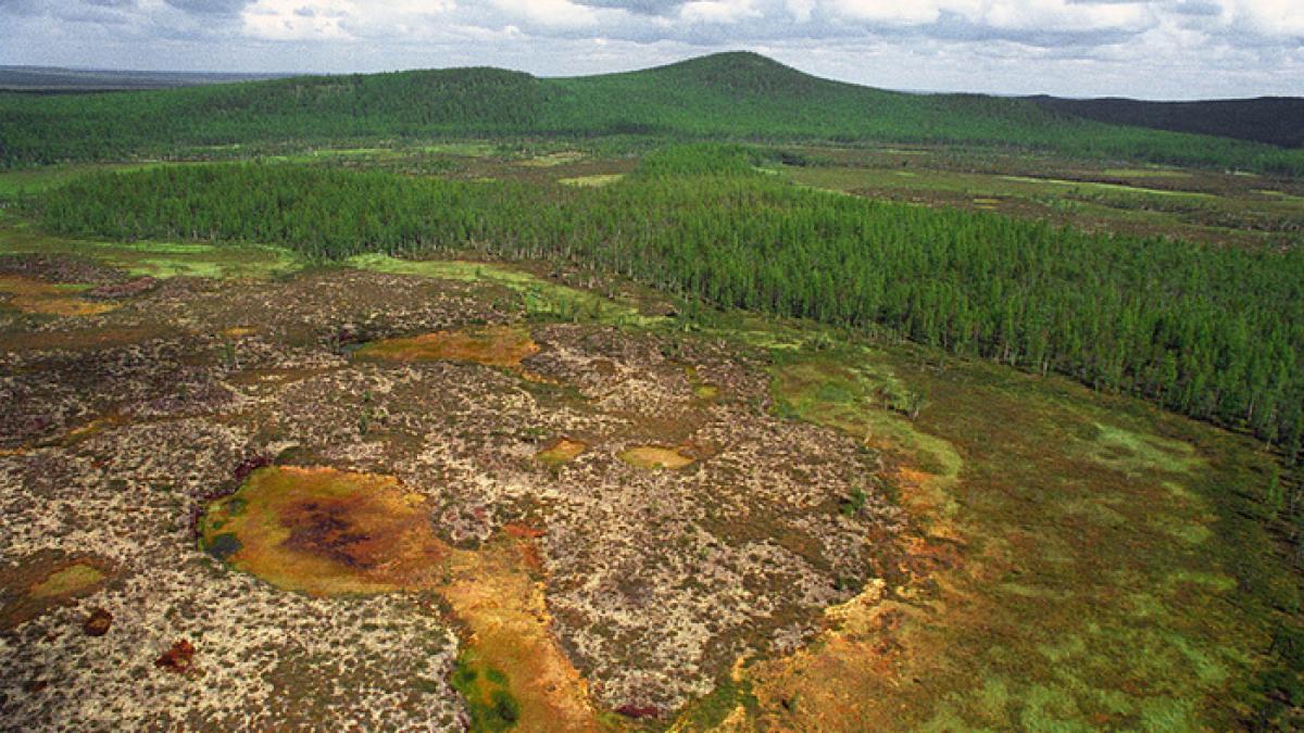 tunguska_78665900