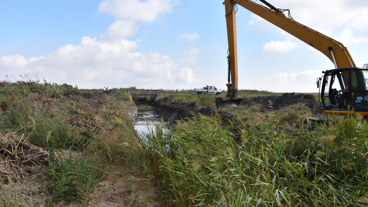 118825617_146636800432447_4068369389075607120_o_44827800