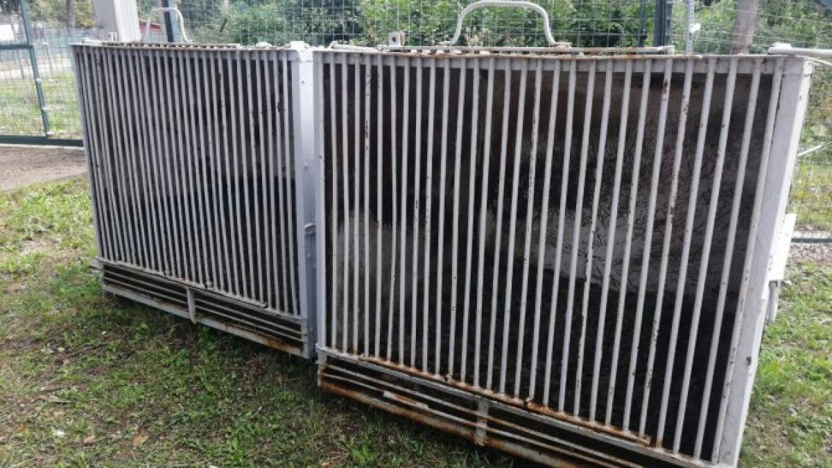 cusca_98339500_24715700