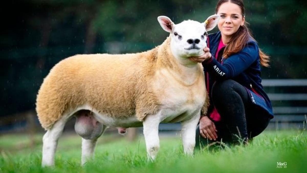 ehjvqkixyaal1mx_48600000