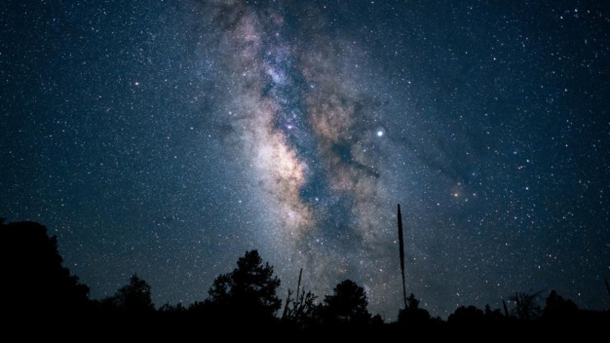 beautiful_low_angle_shot_forest_blue_starry_night_sky_181624_9304_46509800