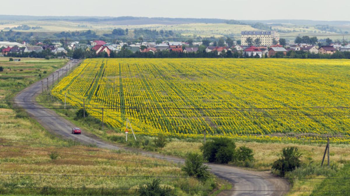 rural_countryside_road_yellow_sunflower_fields_small_village_with_houses_127089_1941_66208200