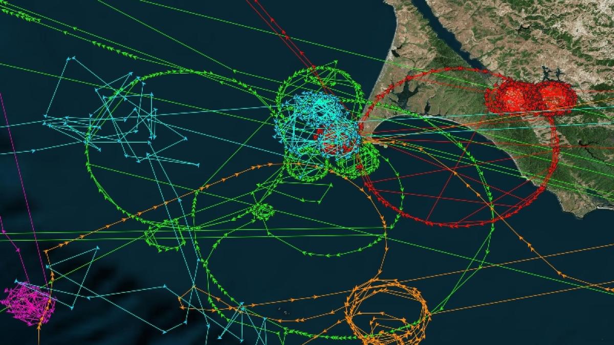 image_1_point_reyes_circling_tracks_41218600